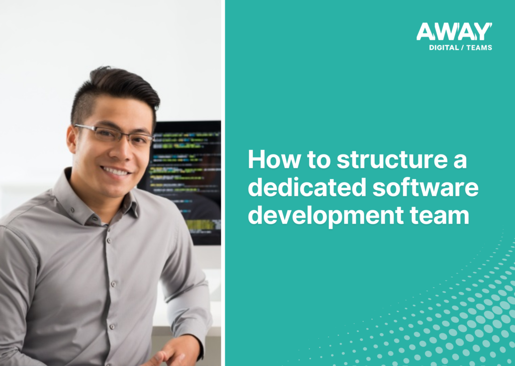 thumbnail structure a dedicated software development team (1)